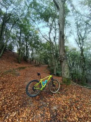 Bicicleta Giant BTT