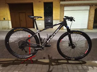 Bicicleta de carbono Focus GX