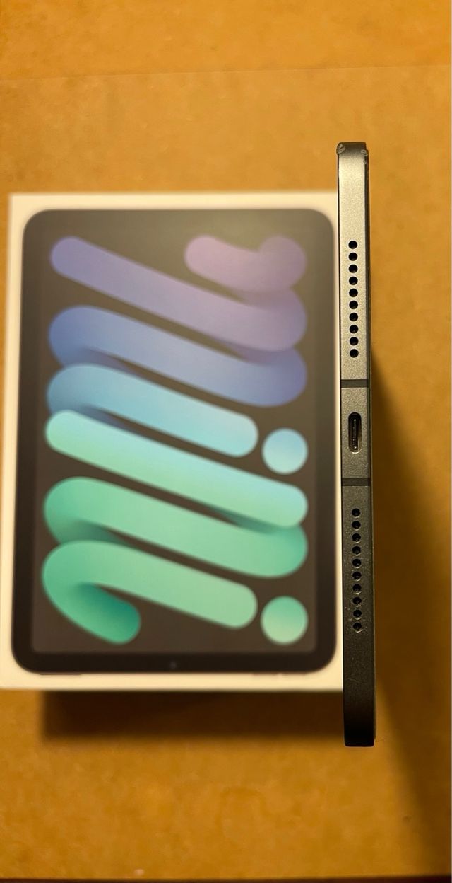 iPad mini 6 256 gb wifi cellular