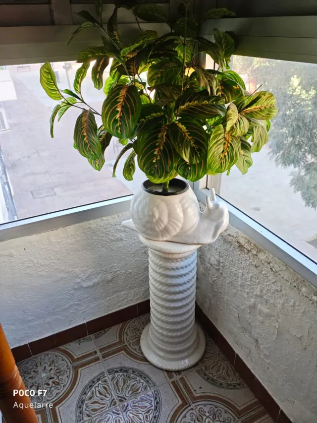 Macetero de cerámica con diseño de caracol