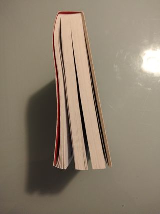 Literatura : el desafío de las preguntas para aman