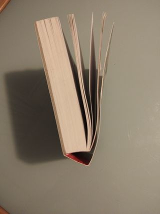 Literatura : el desafío de las preguntas para aman