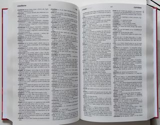 DICIONÁRIO COMPLETO LÍNGUA PORTUGUESA, tomo I