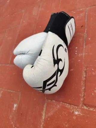 Guantes de Boxeo Blancos