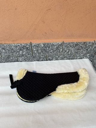 Agnellino da equitazione