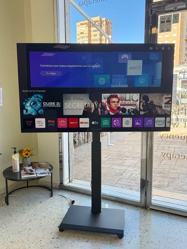 TV LG OLED 65 con soporte giratorio