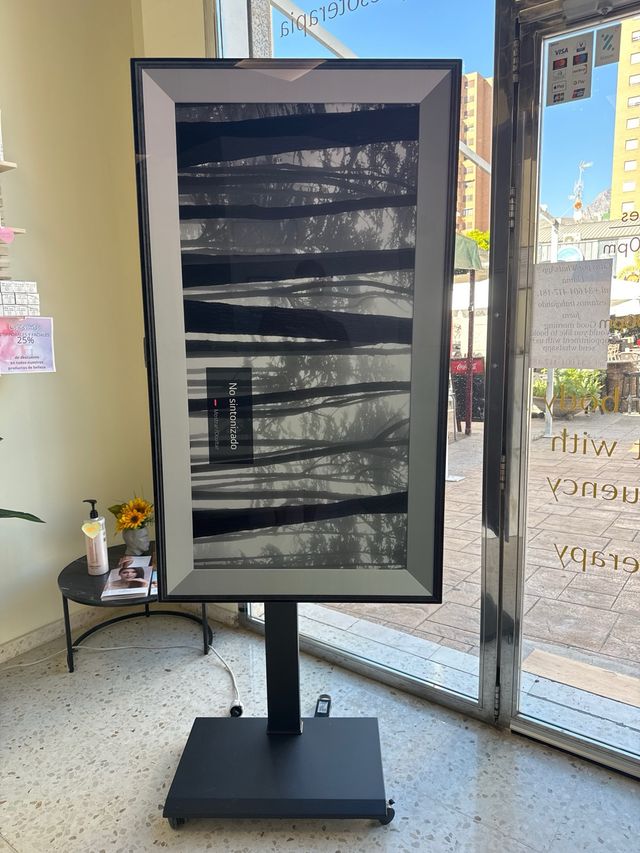 TV LG OLED 65 con soporte giratorio