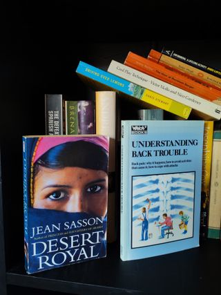 PACK DE MÁS DE 10 LIBROS EN INGLÉS