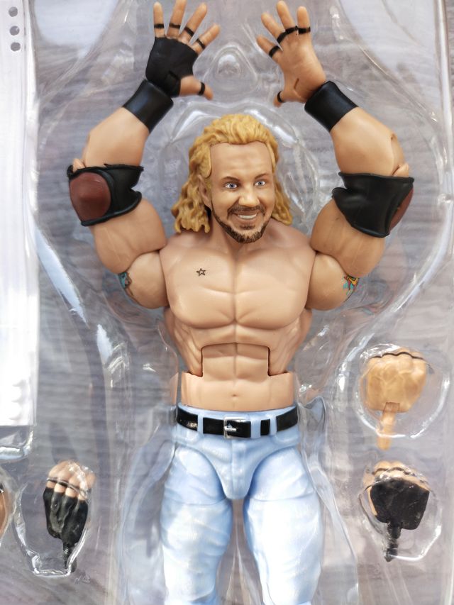 WWE Elite Diamond Dallas Page Action Figure