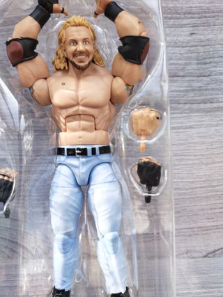 WWE Elite Diamond Dallas Page Action Figure