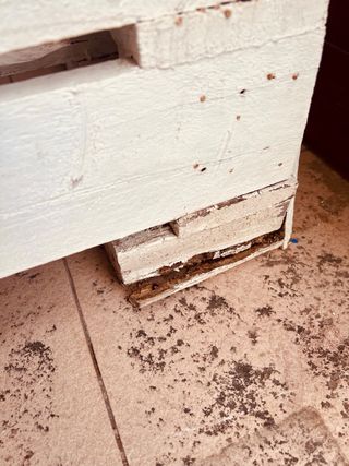 Sofá y Mesita Palets Madera Blanca