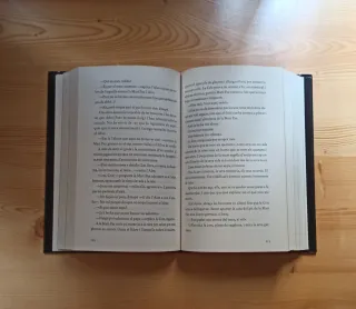 Tot crema (Novela negra - Juan Gómez Jurado)