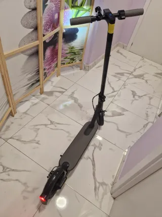 Patinete Eléctrico Xiaomi