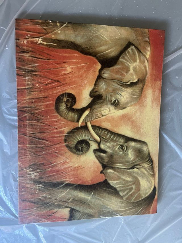 Quadro di due elefanti