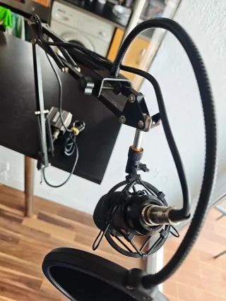Micrófono Neewer 800 Condensador + Soporte