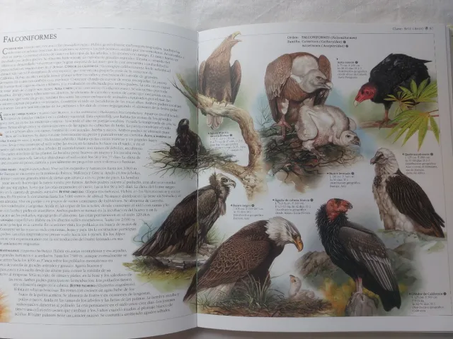 Atlas de animales