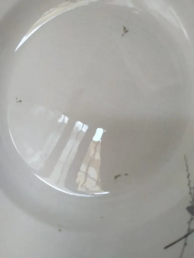 Platos hondos de La Cartuja de Sevilla