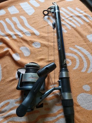 Caña y carrete de pesca