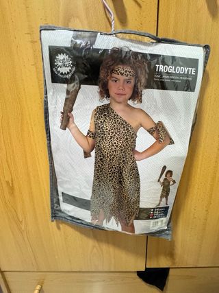 Lote de disfraces varios