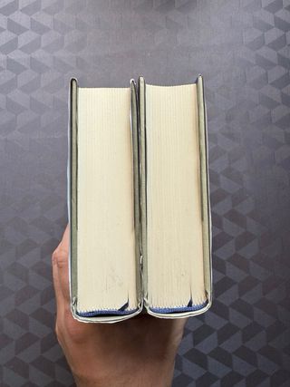 El mundo como voluntad y representación I y II