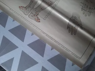 Tavole Agopuntura Fianco e Dorso