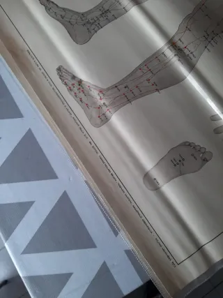 Tavole Agopuntura Fianco e Dorso