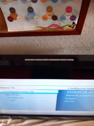 Televisión Philips 26 sin mando