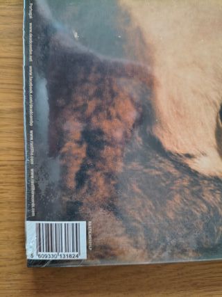 Dead Combo - A Bunch Of Meninos Vinil