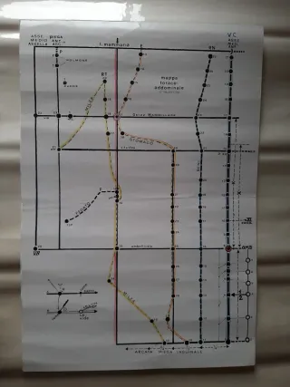 Coppia di tavole vintage con punti di agopuntura