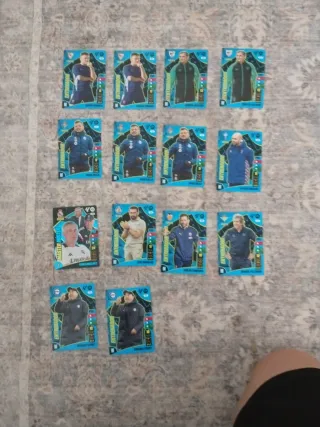 Cromos Entrenadores Fútbol 24/25