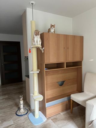 Tiragraffi per gatti dal pavimento al soffitto