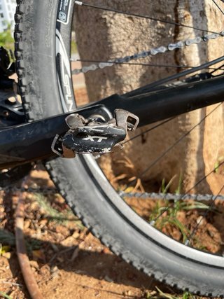 Bicicleta Montaña FOCUS RAVEN CARBONO TALLA L