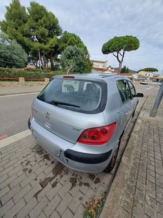 Peugeot 307 2001