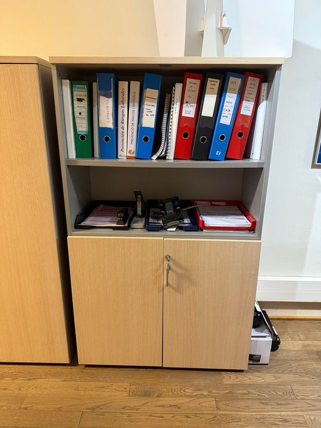 Armario de oficina beige y gris