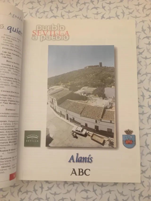 Sevilla pueblo a pueblo
