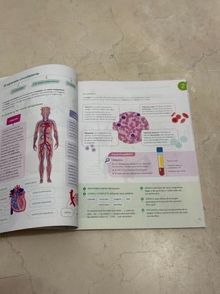 Ciencias Naturales 6º. Santillana