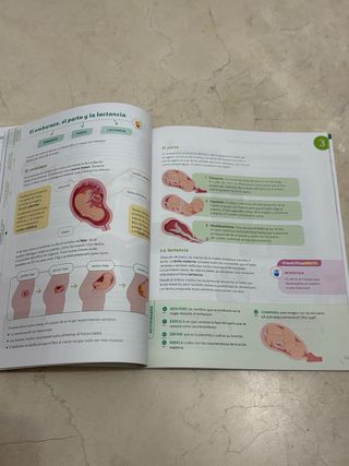 Ciencias Naturales 6º. Santillana