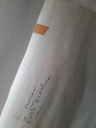 Tavola punti auricoloterapia vintage