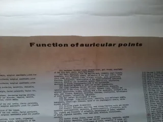 Tavola punti auricoloterapia vintage