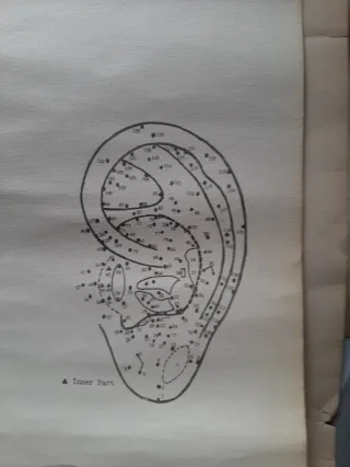Tavola punti auricoloterapia vintage