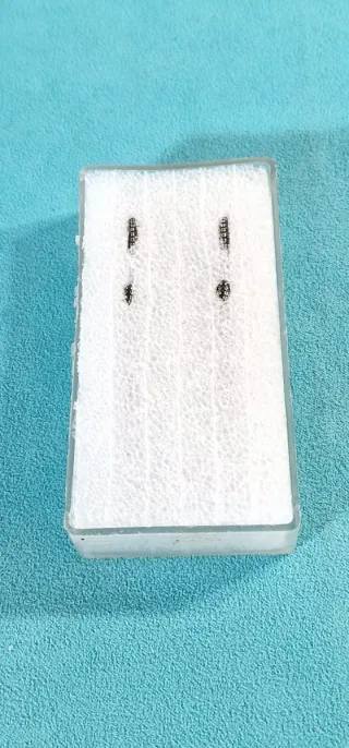 Pendientes Plata 925 con Incrustaciones Brillantes