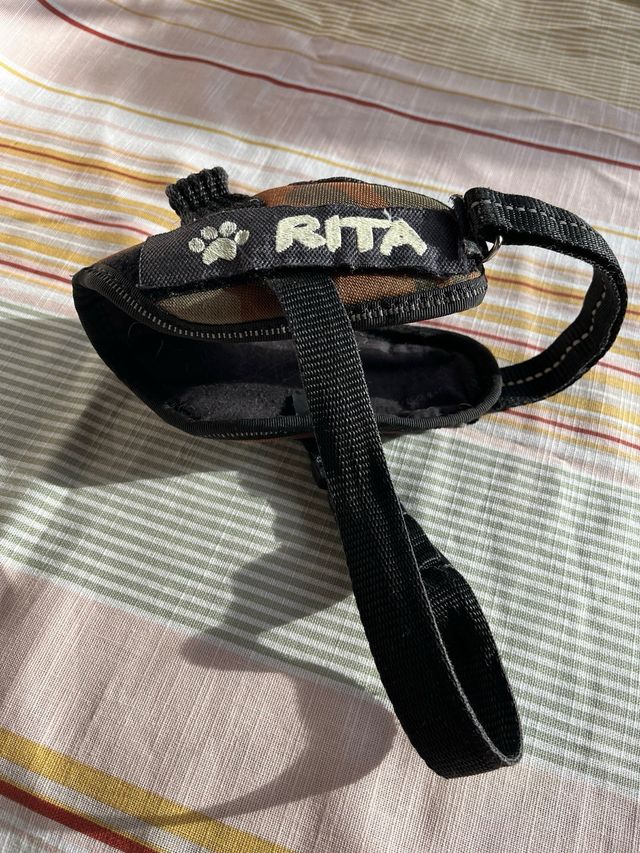 Arnés Julius K9 para perro