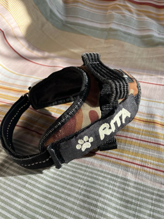 Arnés Julius K9 para perro