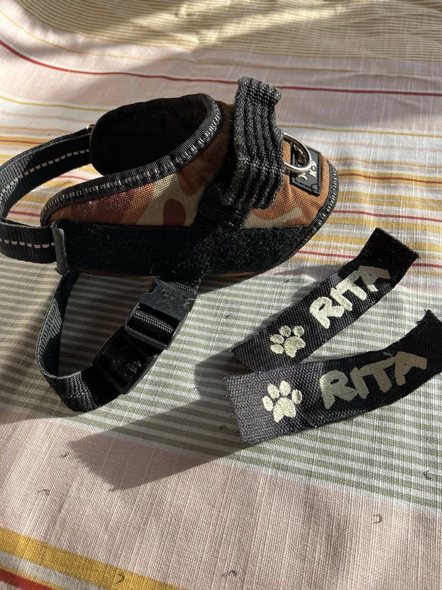 Arnés Julius K9 para perro