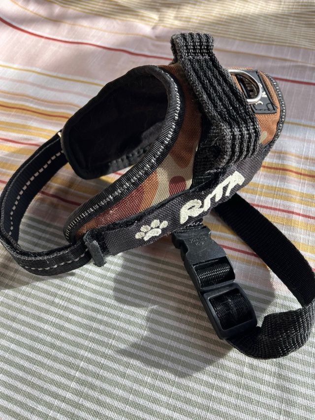 Arnés Julius K9 para perro