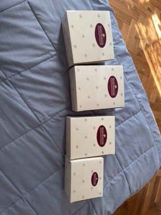 Bambole Ashton Drake +teca