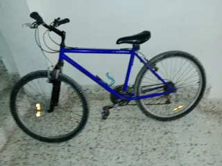 Bicicleta de Montaña Azul