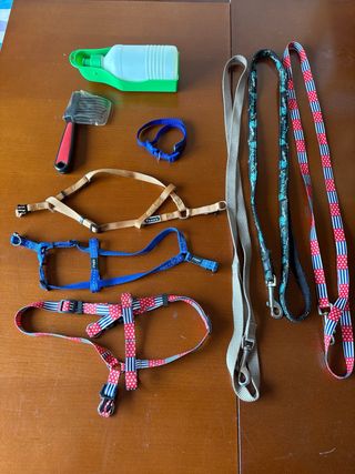 Lotto 9 Accessori per cani di taglia piccola/media