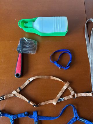 Lotto 9 Accessori per cani di taglia piccola/media