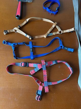 Lotto 9 Accessori per cani di taglia piccola/media